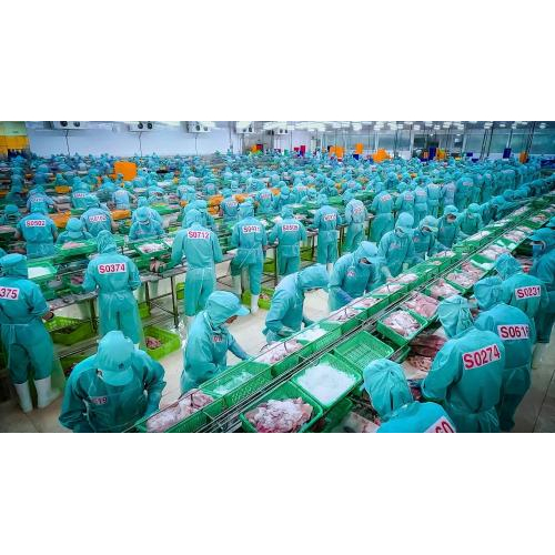 Công Ty Cổ Phần Tập Đoàn Sao Mai